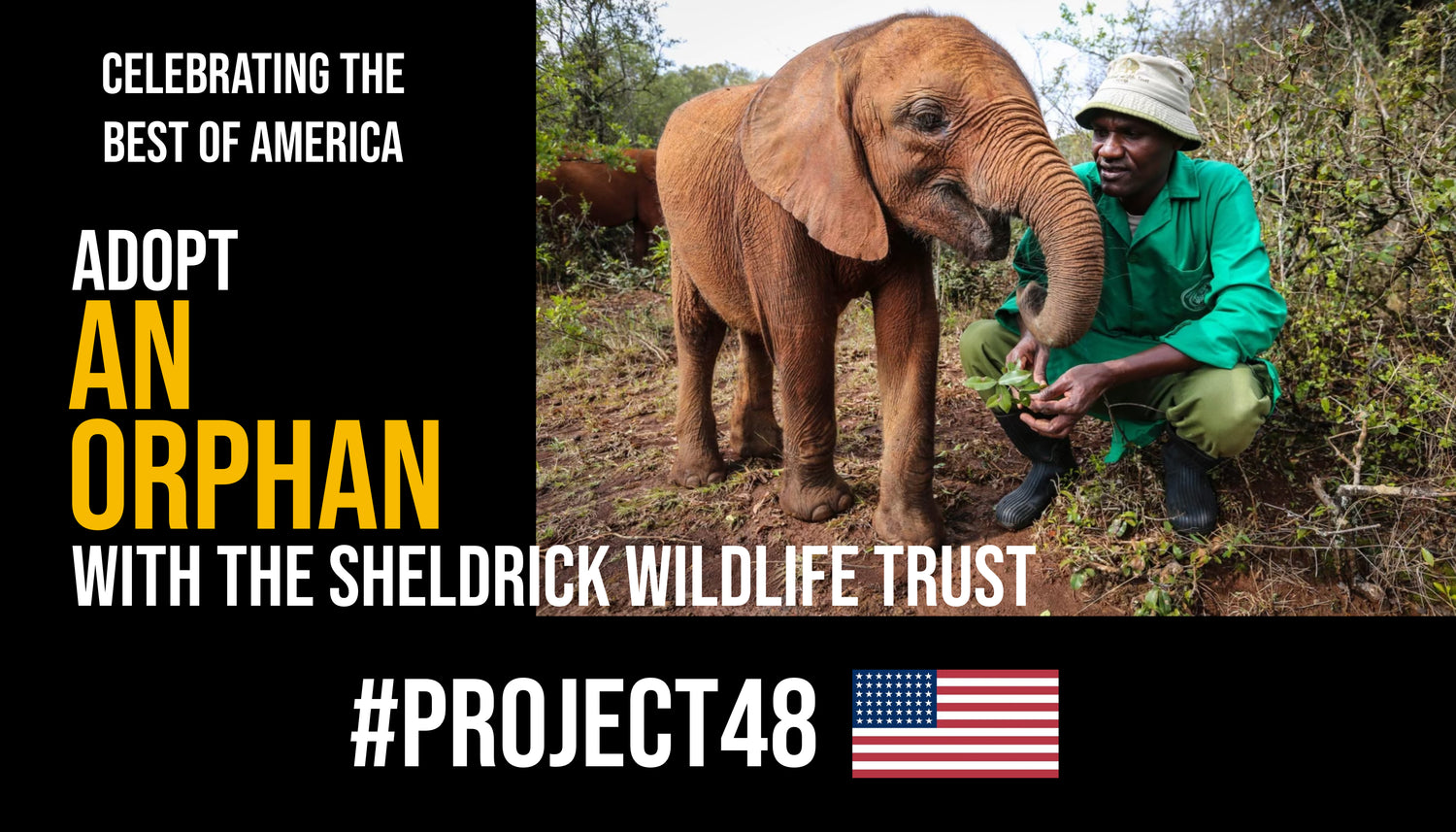 Adopt an Orphan - The Sheldrick Wildlife Trust